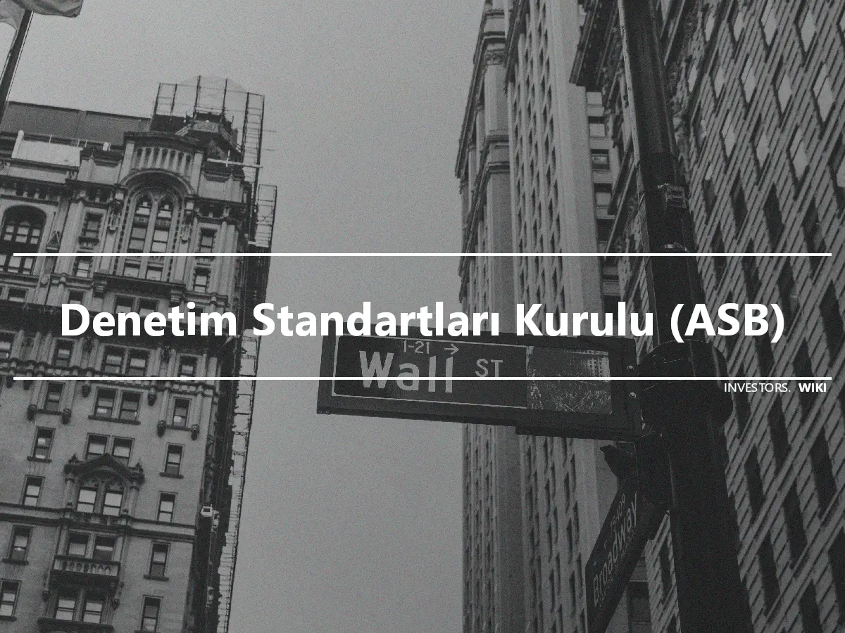 Denetim Standartları Kurulu (ASB)