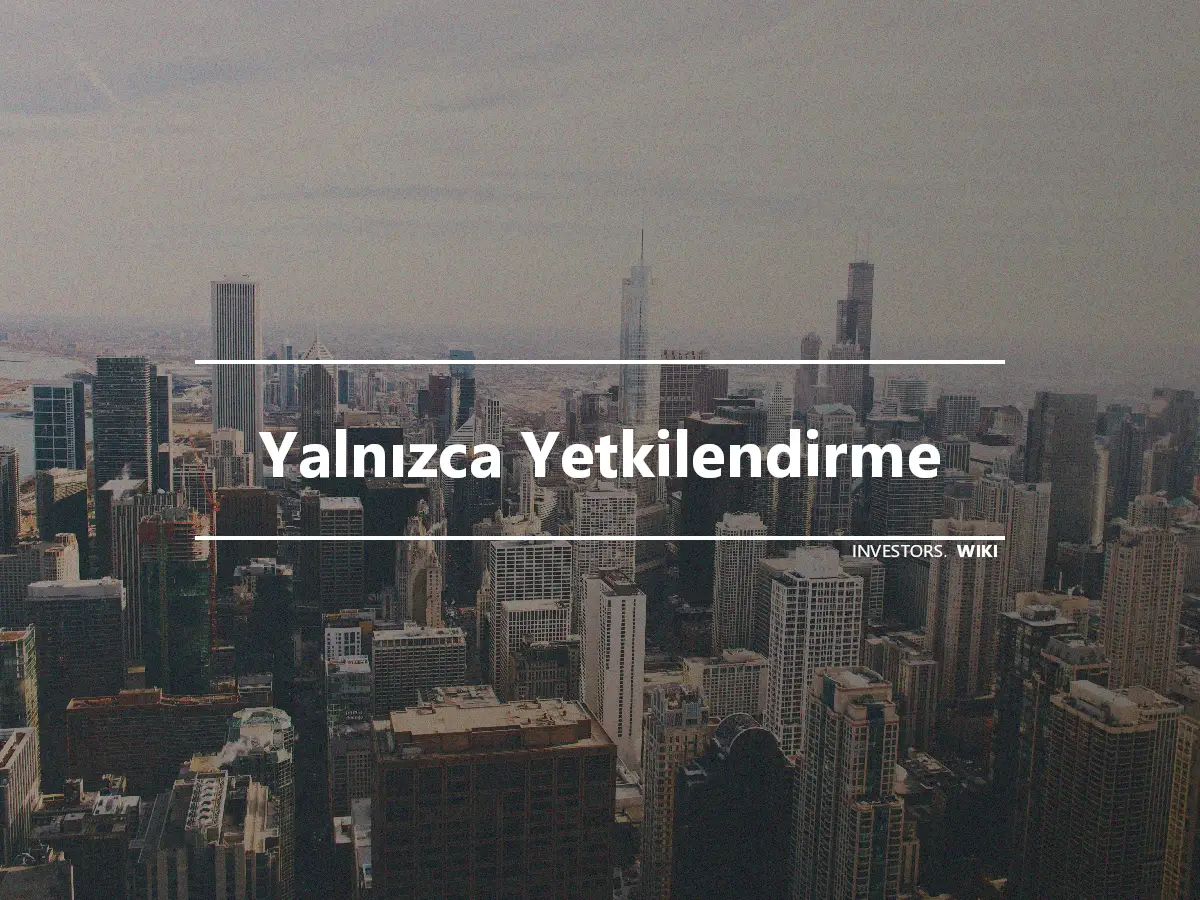 Yalnızca Yetkilendirme