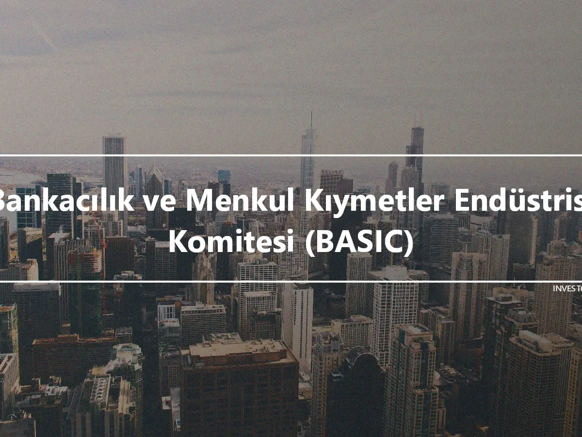 Bankacılık ve Menkul Kıymetler Endüstrisi Komitesi (BASIC)