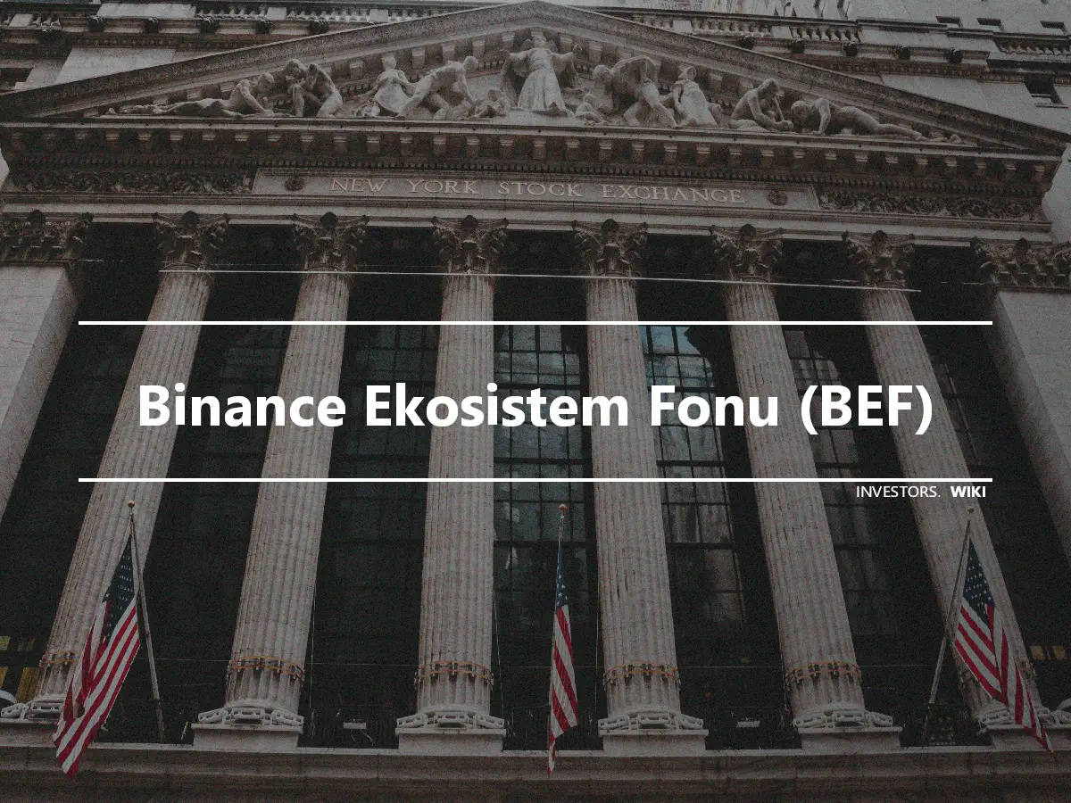 Binance Ekosistem Fonu (BEF)