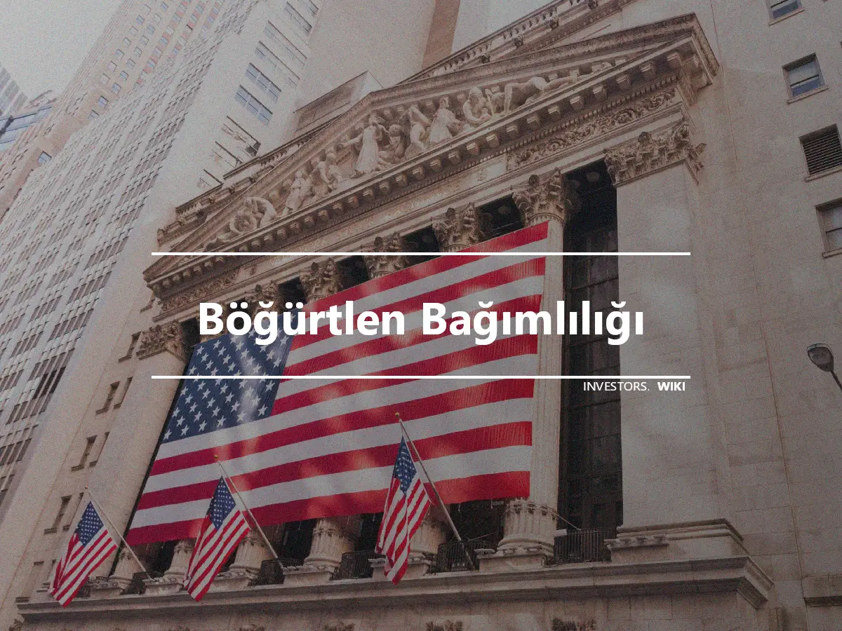 Böğürtlen Bağımlılığı