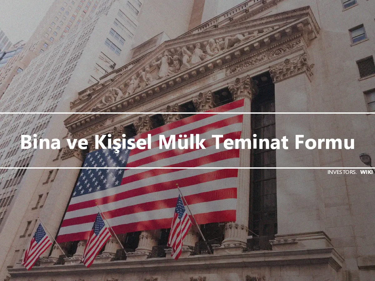 Bina ve Kişisel Mülk Teminat Formu