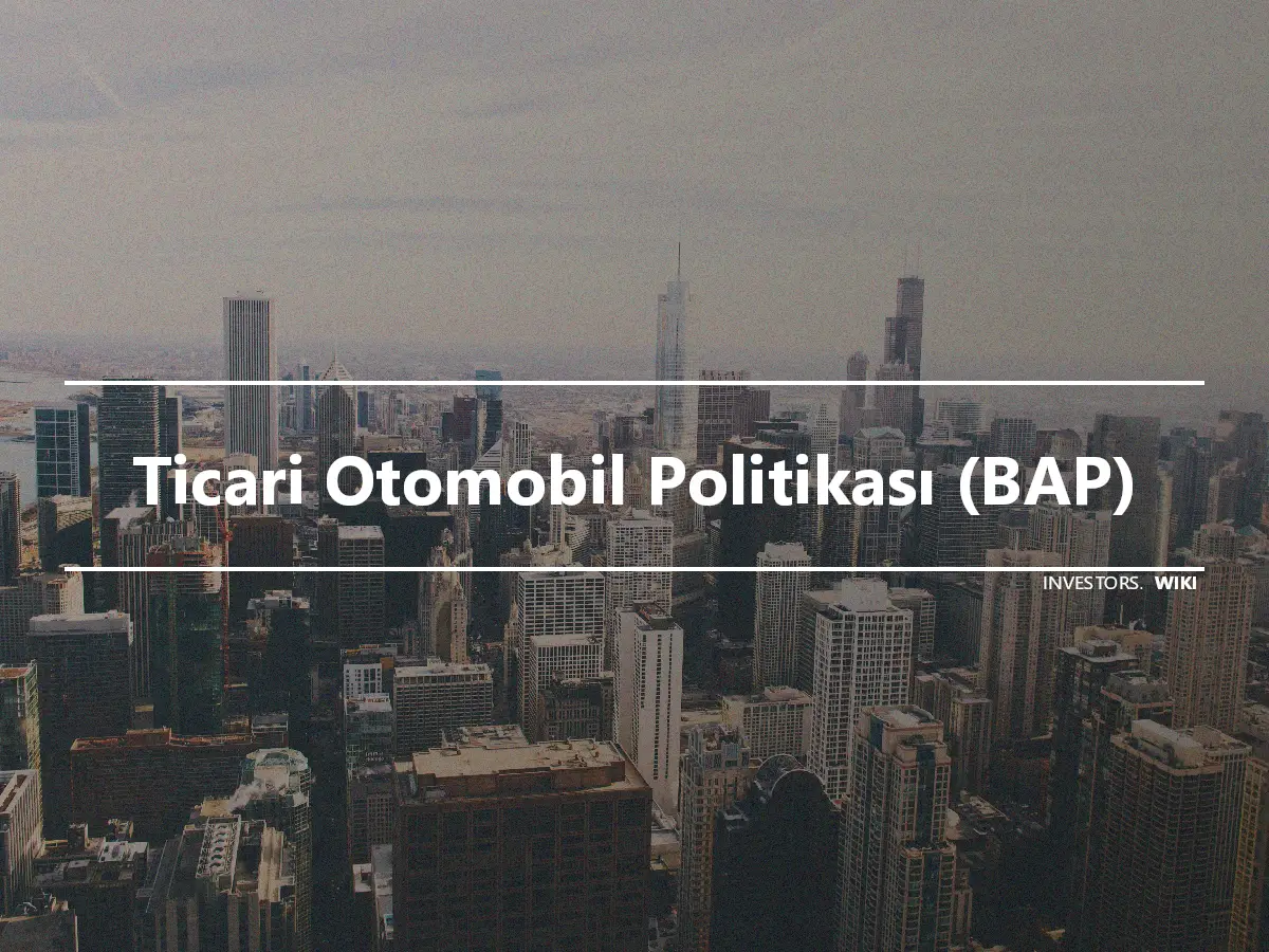 Ticari Otomobil Politikası (BAP)