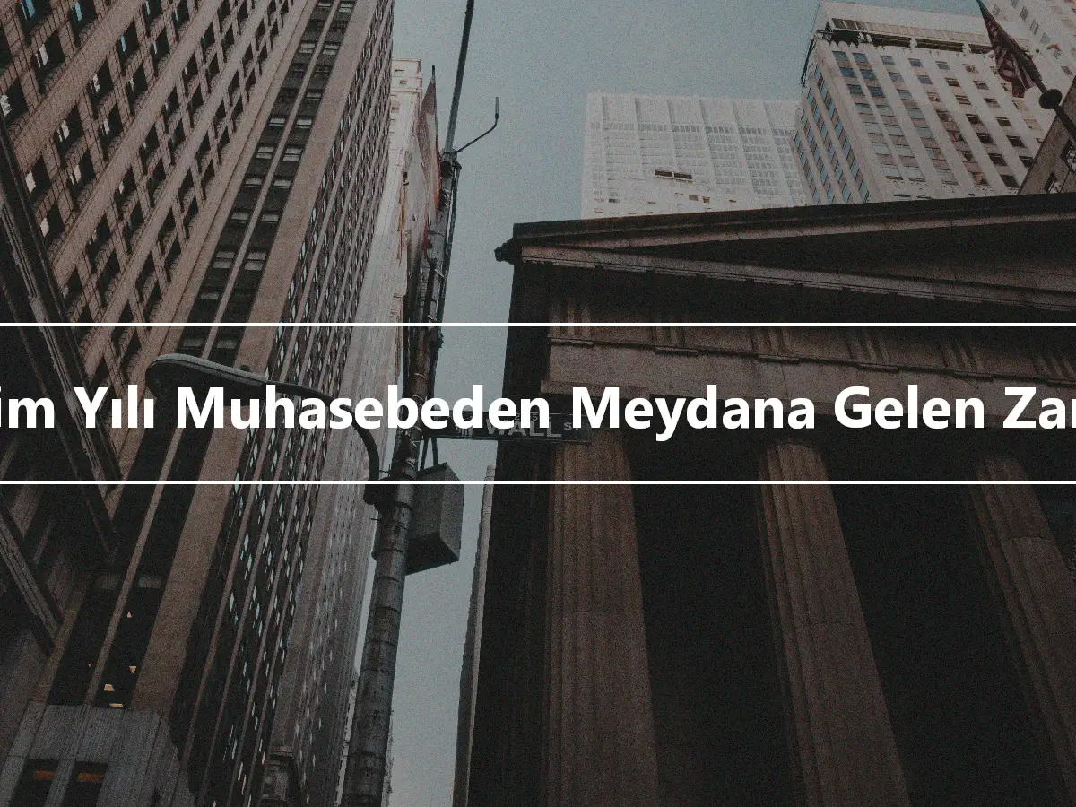 Takvim Yılı Muhasebeden Meydana Gelen Zararlar