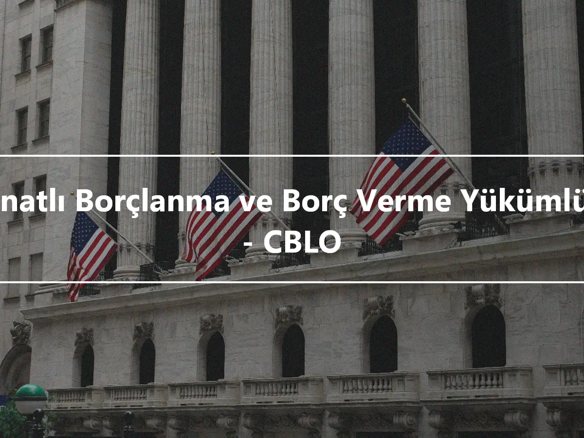 Teminatlı Borçlanma ve Borç Verme Yükümlülüğü - CBLO