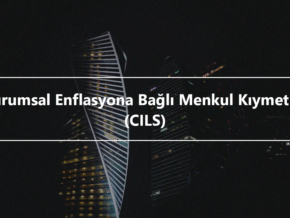 Kurumsal Enflasyona Bağlı Menkul Kıymetler (CILS)