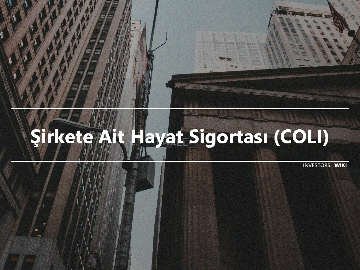 Şirkete Ait Hayat Sigortası (COLI)