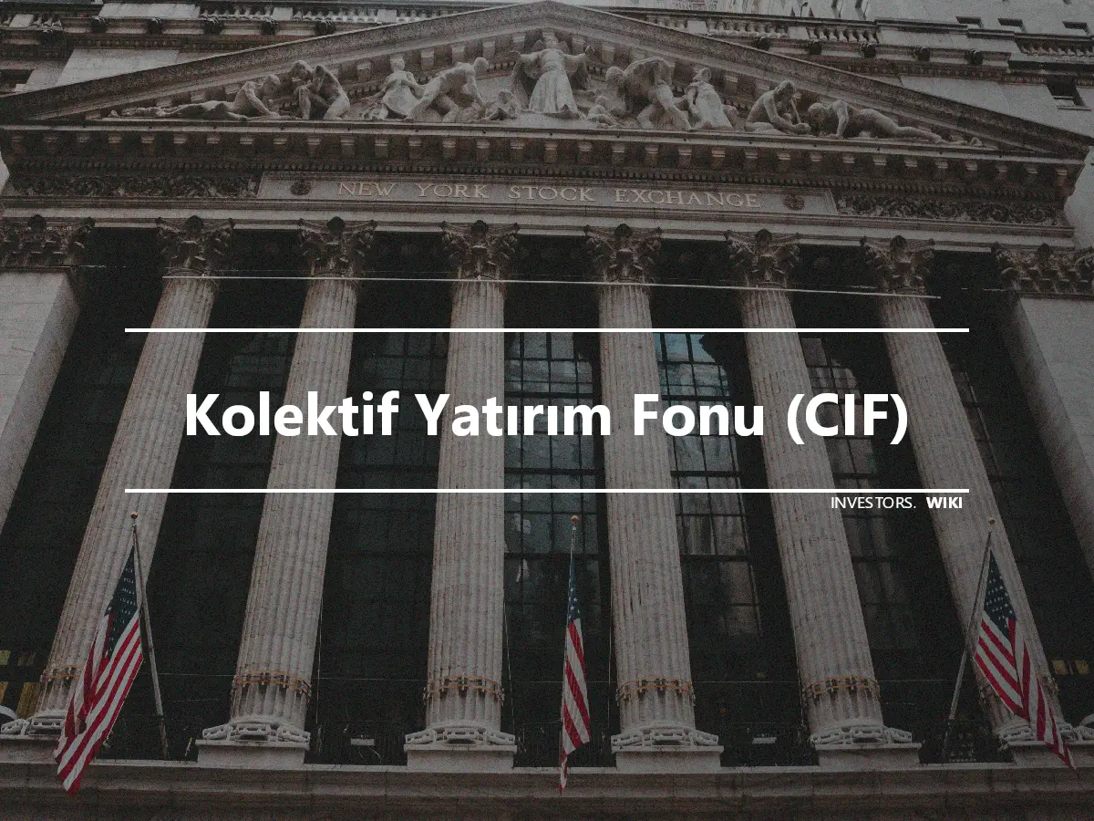 Kolektif Yatırım Fonu (CIF)