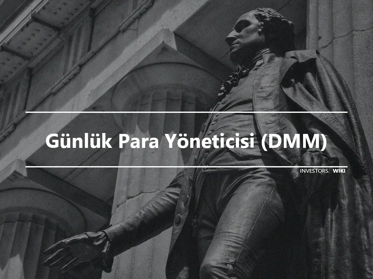 Günlük Para Yöneticisi (DMM)