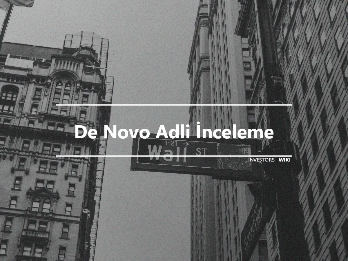 De Novo Adli İnceleme