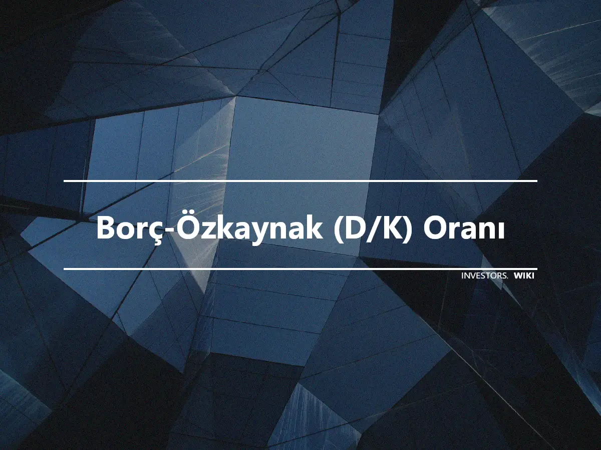 Borç-Özkaynak (D/K) Oranı