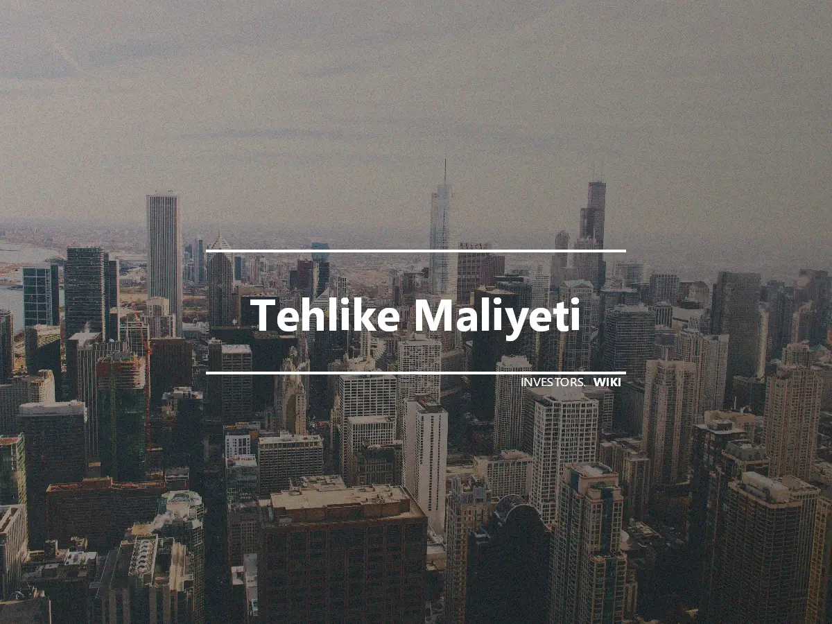 Tehlike Maliyeti