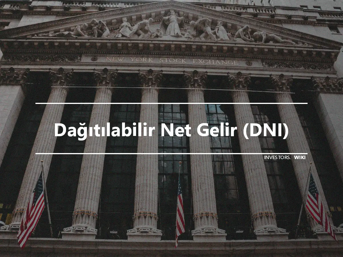 Dağıtılabilir Net Gelir (DNI)