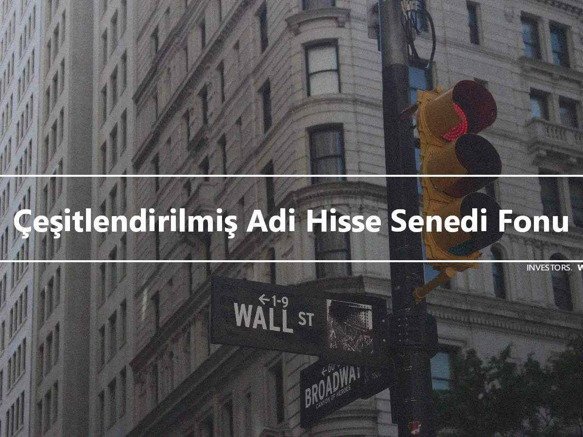 Çeşitlendirilmiş Adi Hisse Senedi Fonu