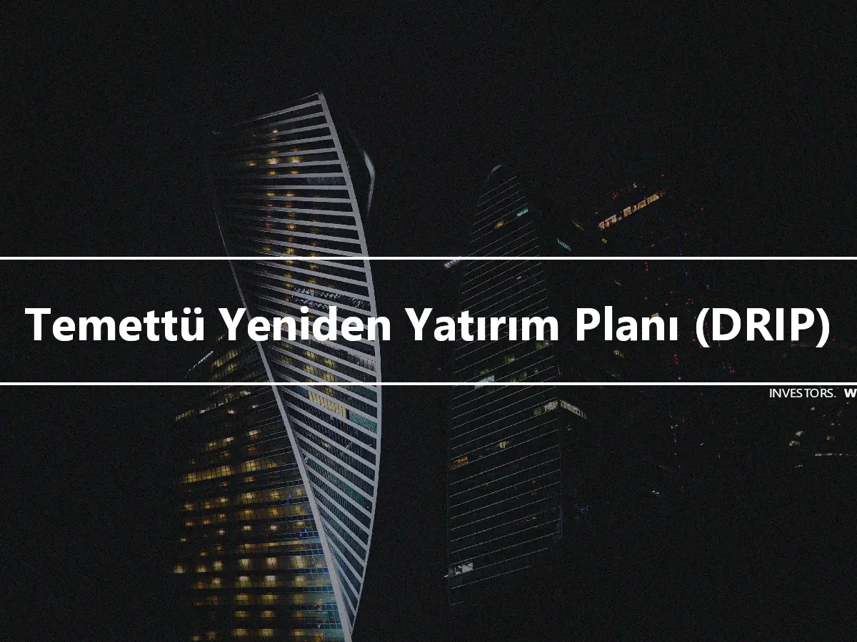 Temettü Yeniden Yatırım Planı (DRIP)