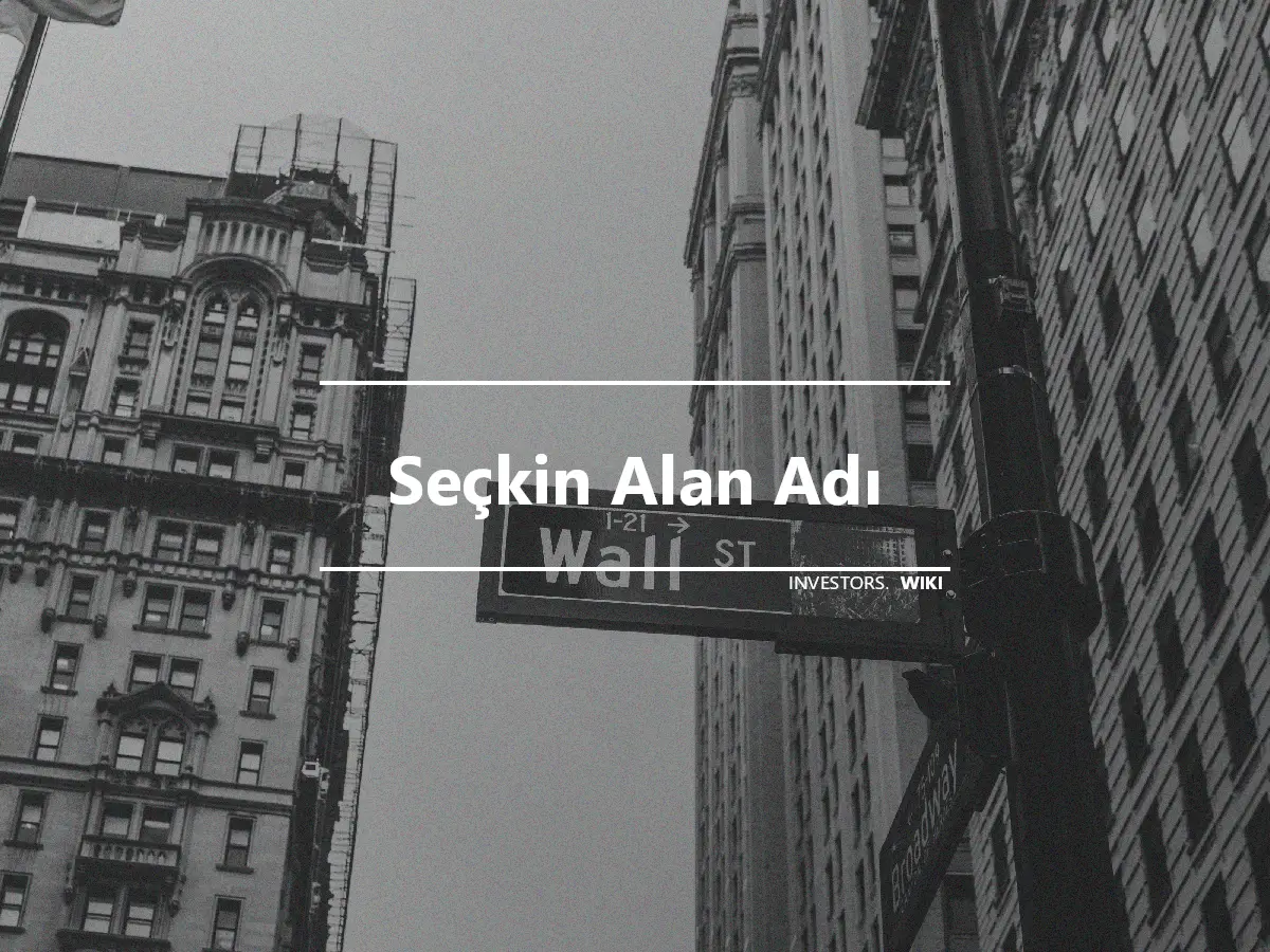 Seçkin Alan Adı