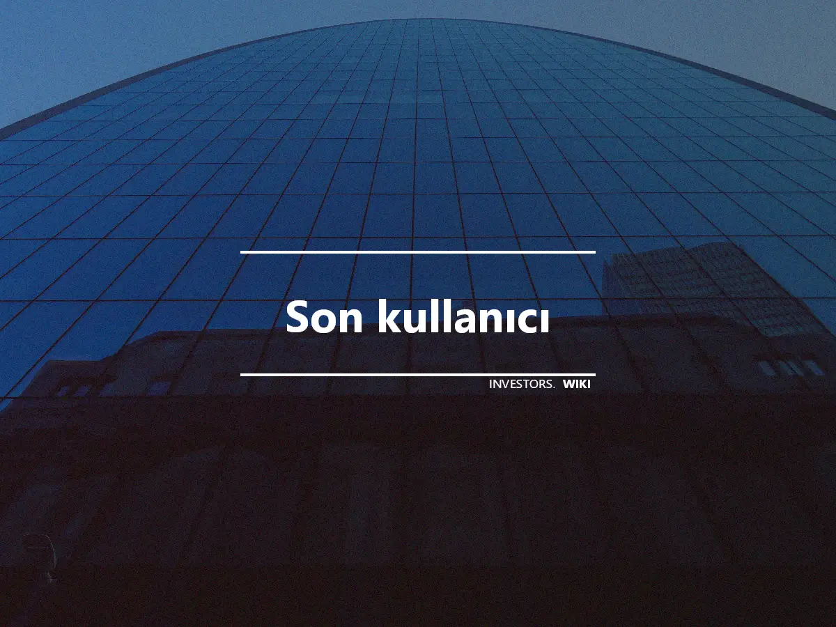 Son kullanıcı