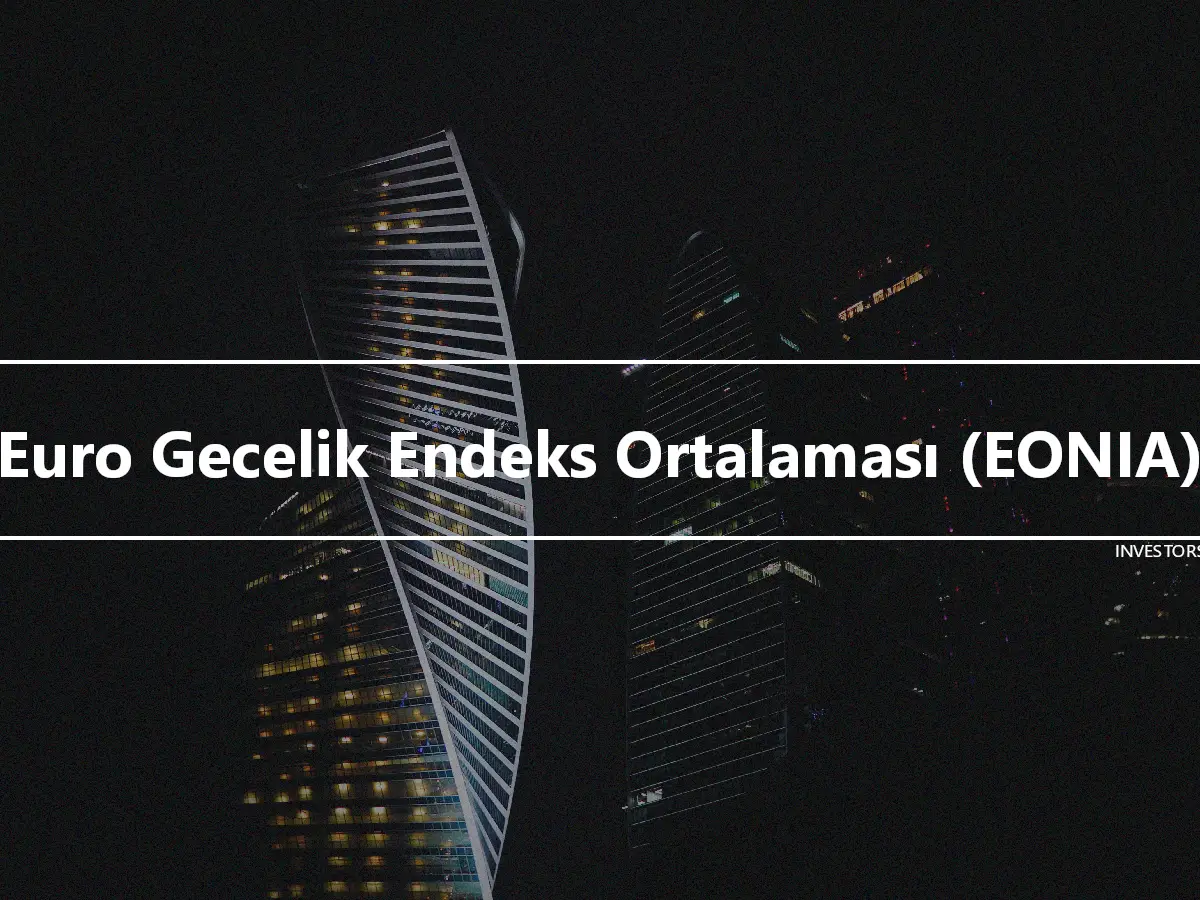 Euro Gecelik Endeks Ortalaması (EONIA)