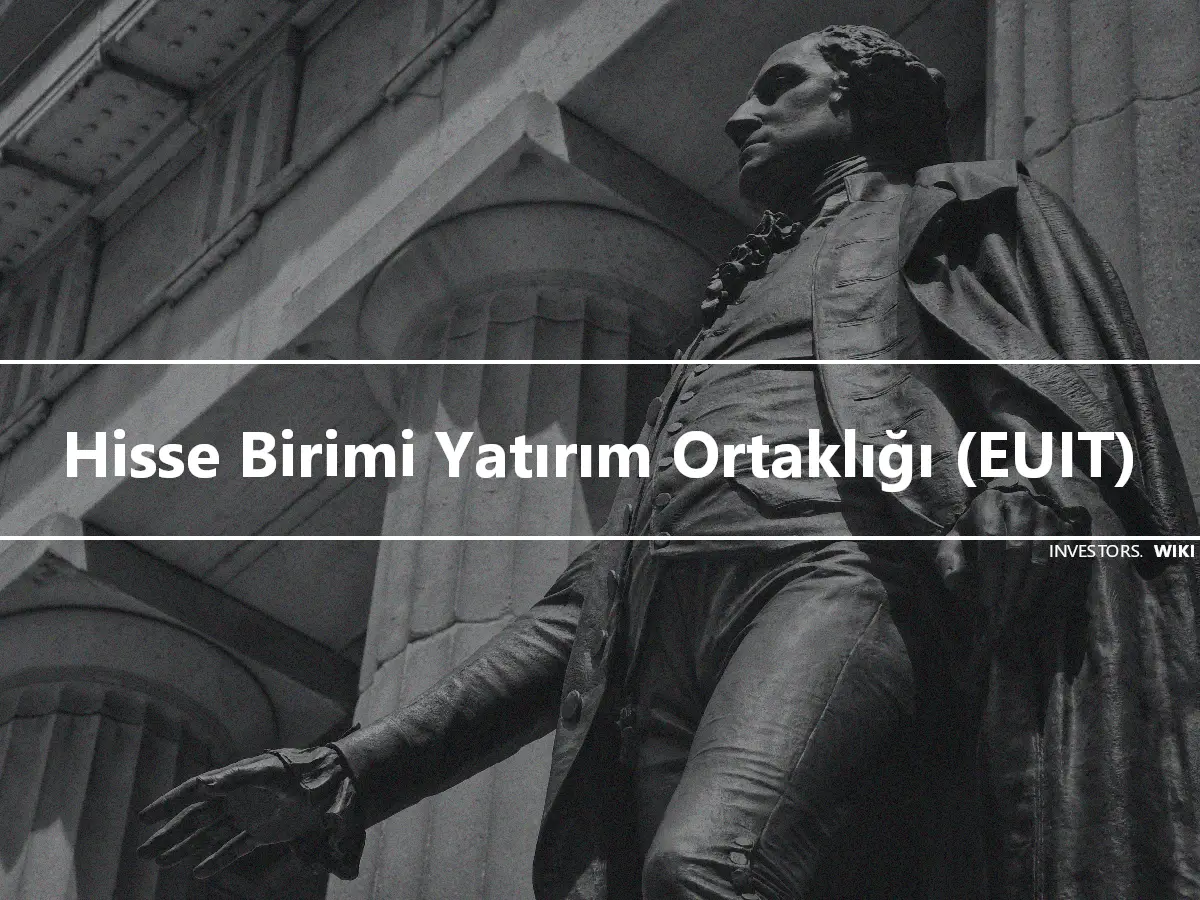 Hisse Birimi Yatırım Ortaklığı (EUIT)