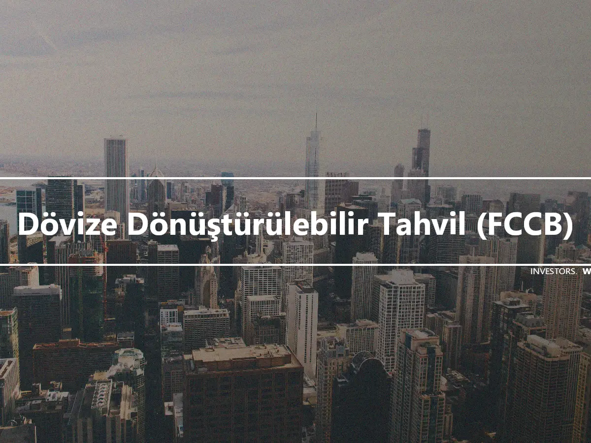 Dövize Dönüştürülebilir Tahvil (FCCB)