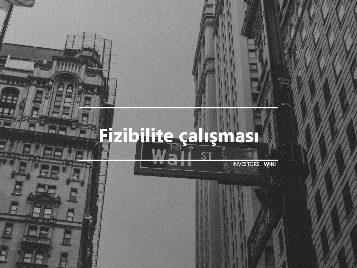 Fizibilite çalışması