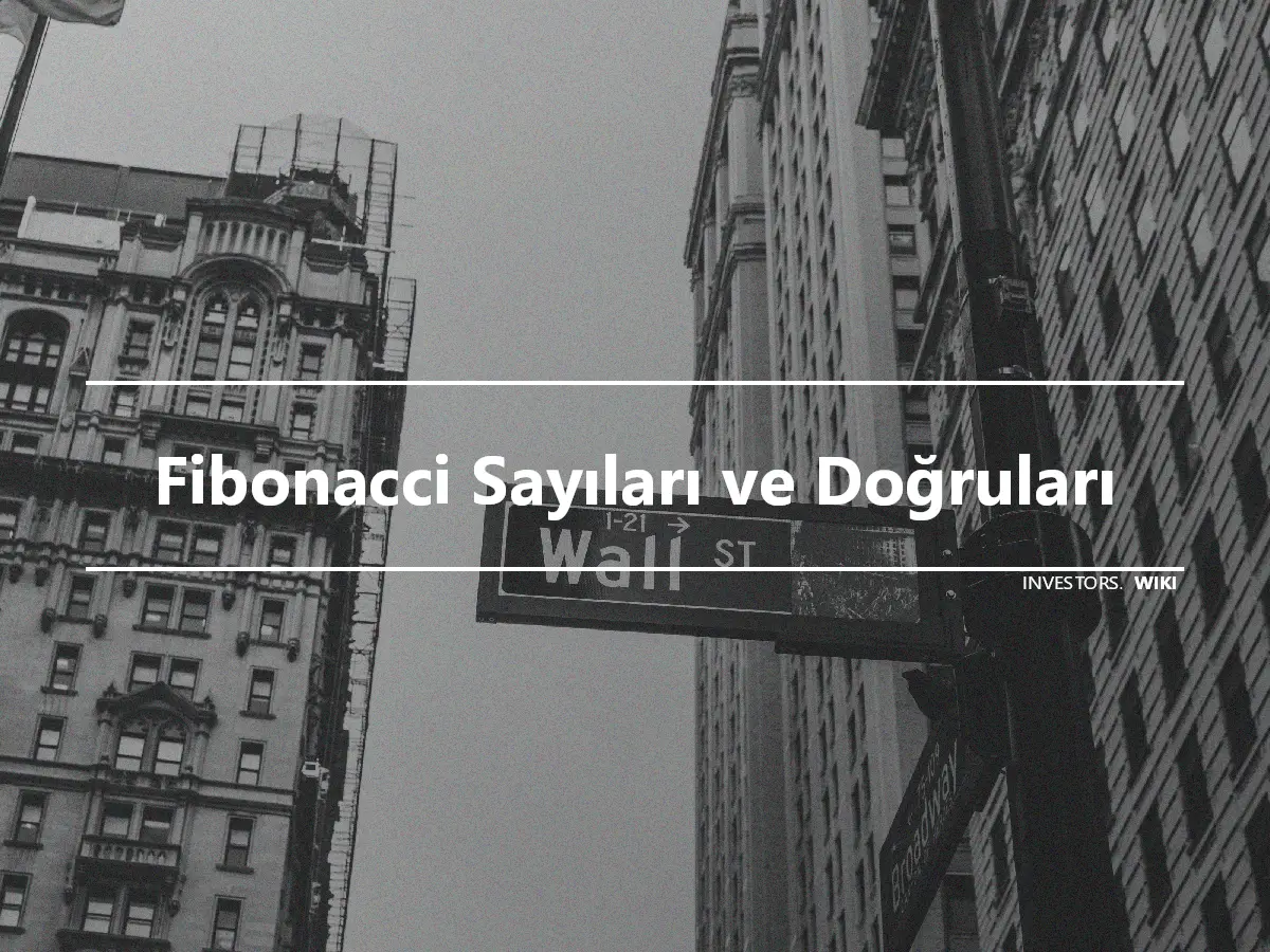 Fibonacci Sayıları ve Doğruları