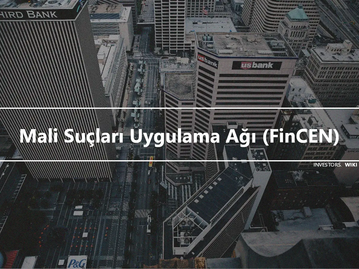 Mali Suçları Uygulama Ağı (FinCEN)