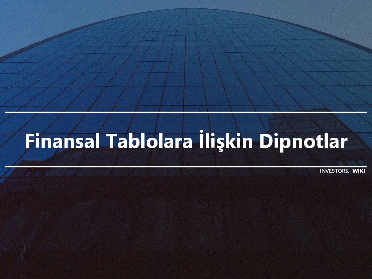 Finansal Tablolara İlişkin Dipnotlar