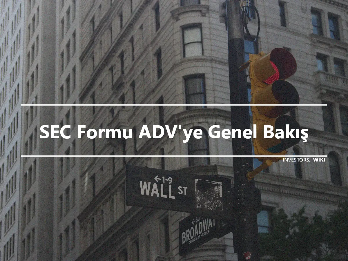 SEC Formu ADV'ye Genel Bakış