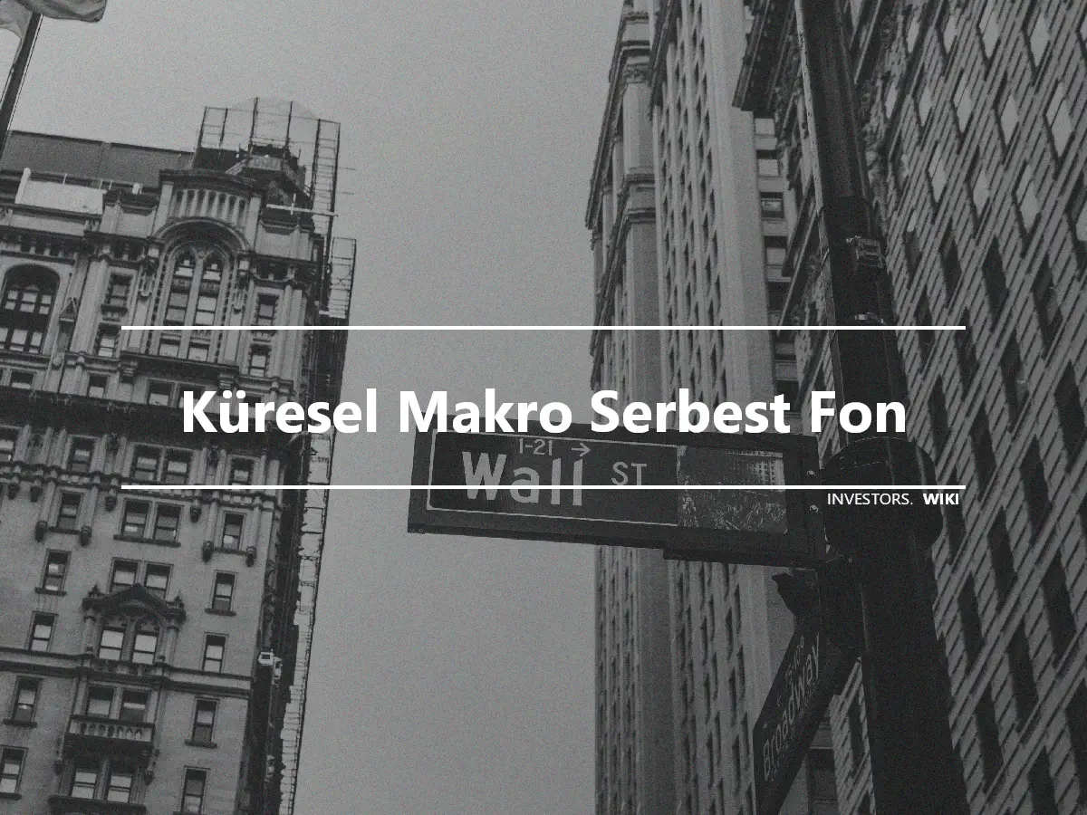 Küresel Makro Serbest Fon