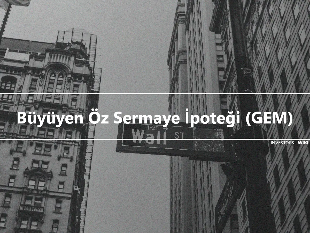 Büyüyen Öz Sermaye İpoteği (GEM)