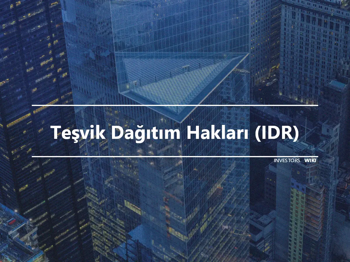 Teşvik Dağıtım Hakları (IDR)