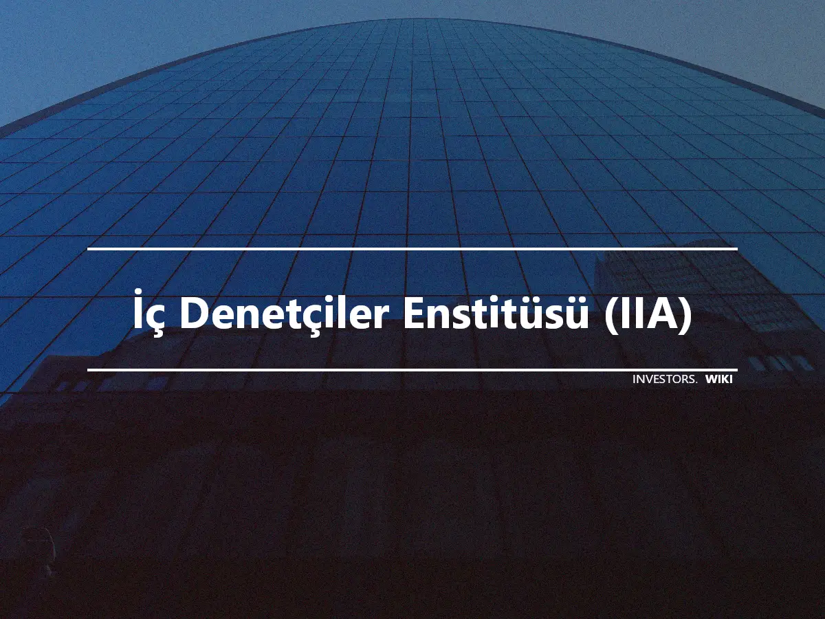 İç Denetçiler Enstitüsü (IIA)