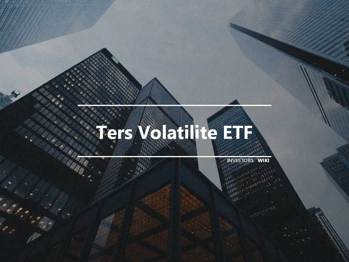 Ters Volatilite ETF