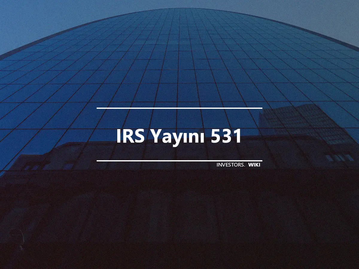 IRS Yayını 531