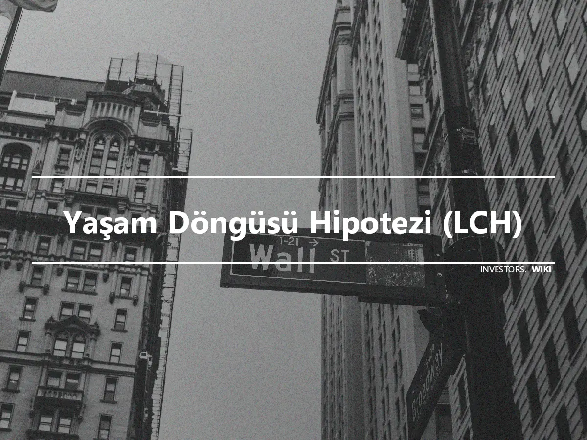 Yaşam Döngüsü Hipotezi (LCH)