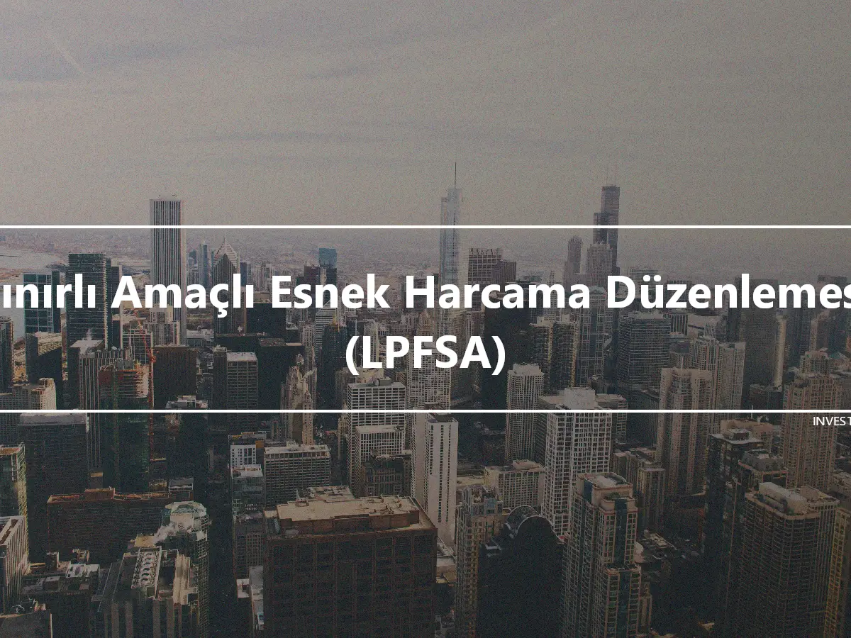 Sınırlı Amaçlı Esnek Harcama Düzenlemesi (LPFSA)