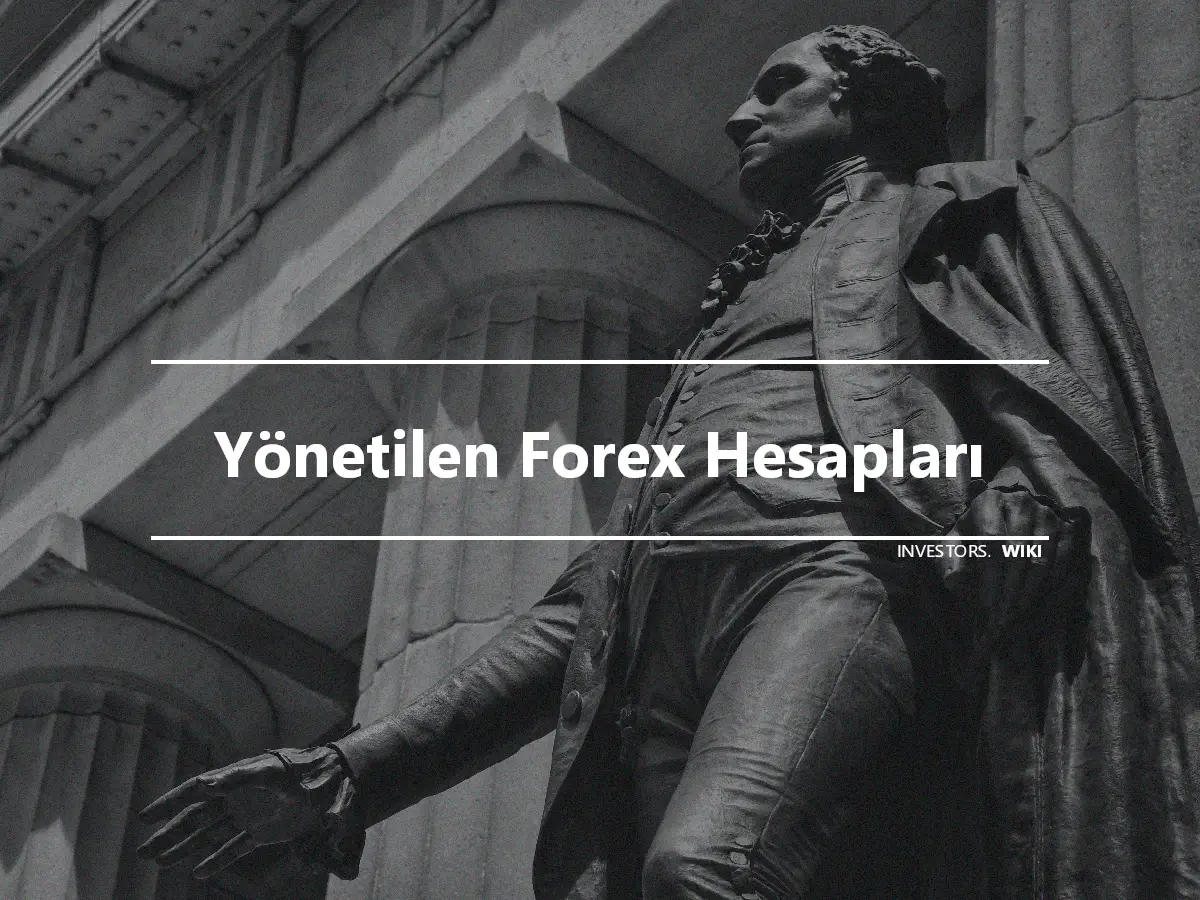 Yönetilen Forex Hesapları