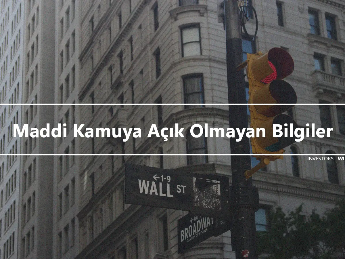 Maddi Kamuya Açık Olmayan Bilgiler