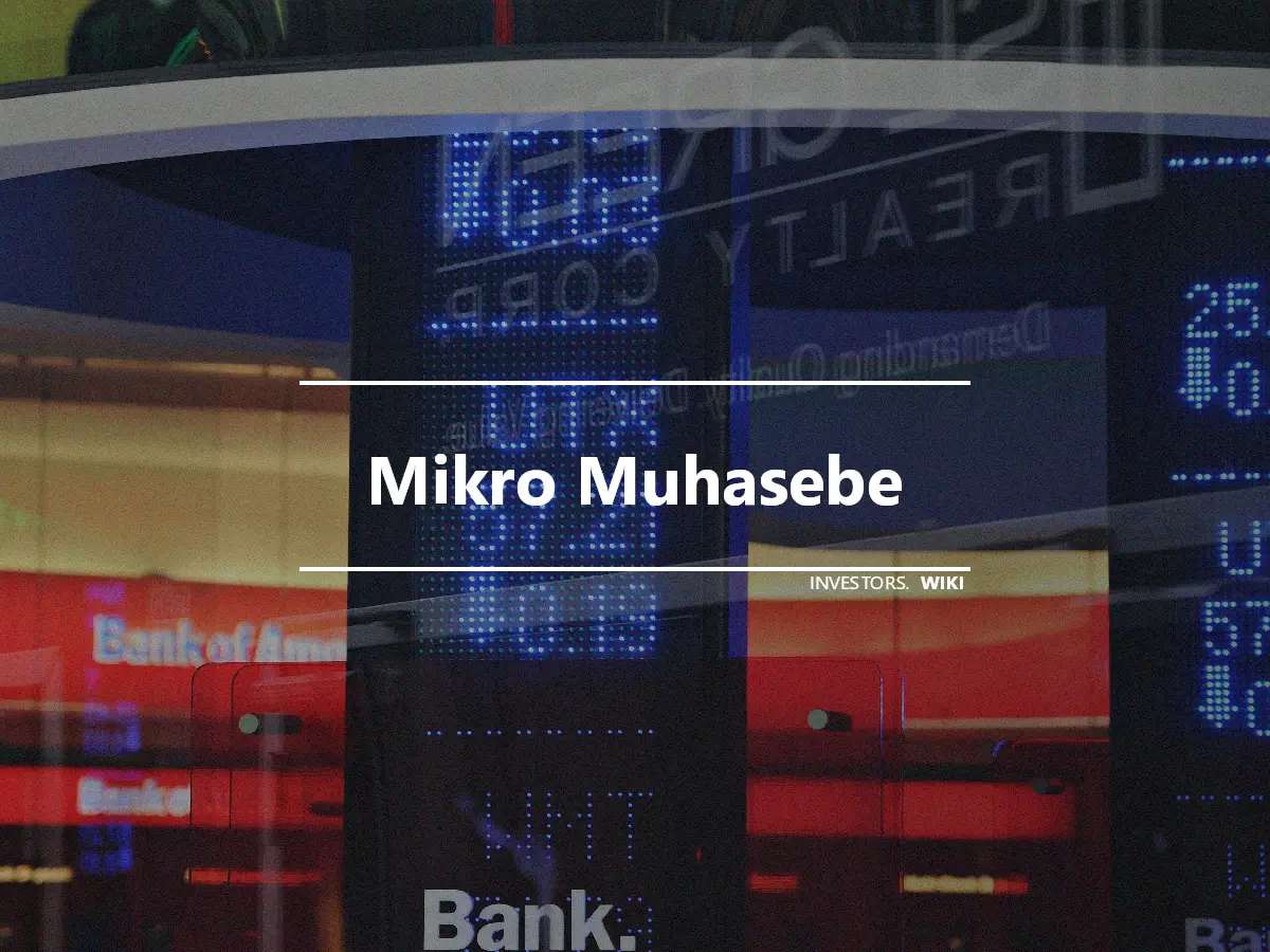 Mikro Muhasebe