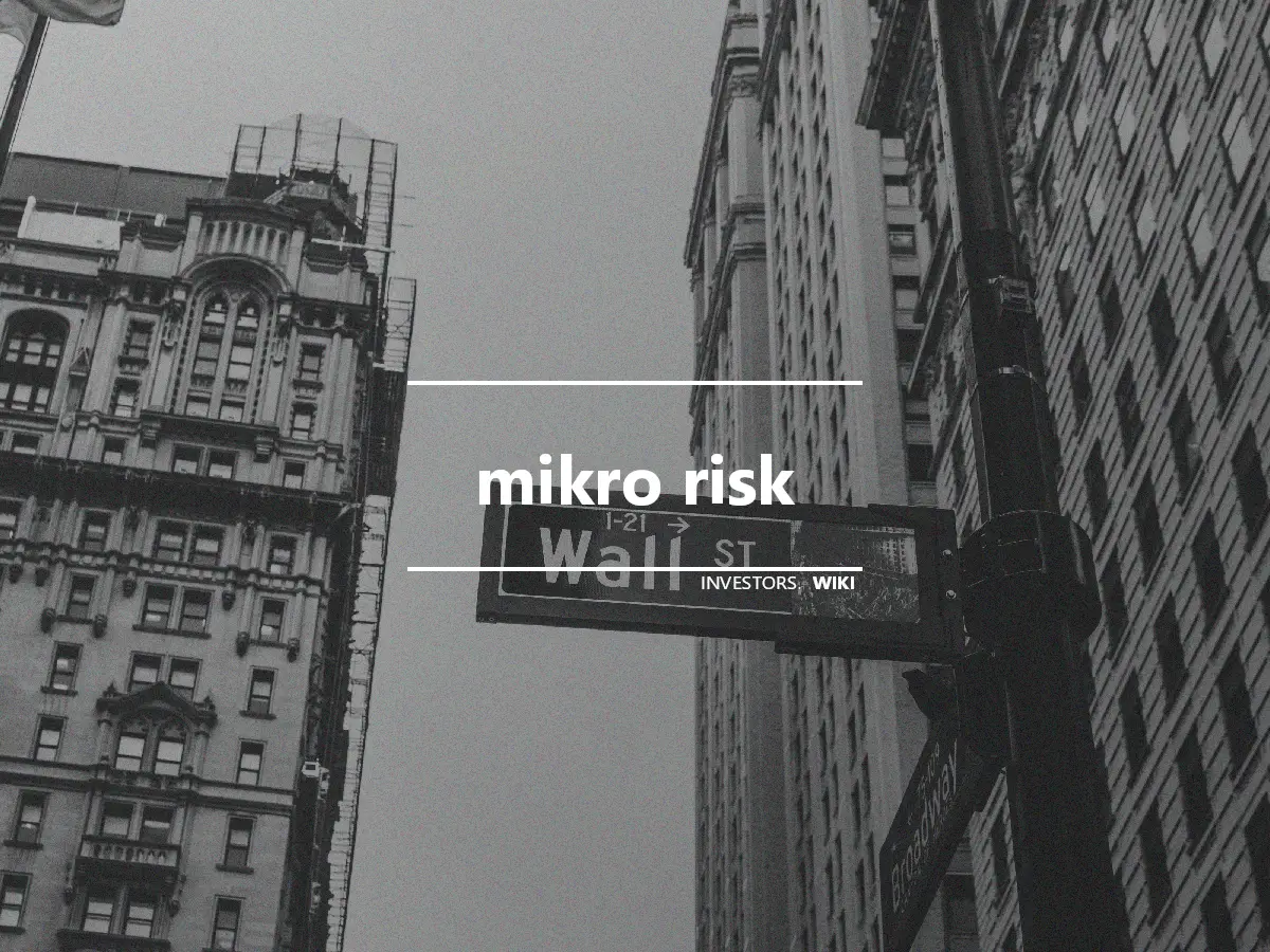 mikro risk