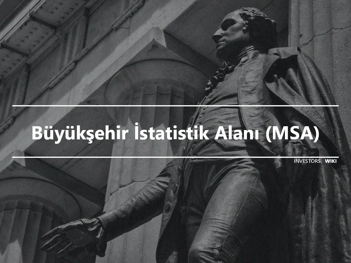 Büyükşehir İstatistik Alanı (MSA)