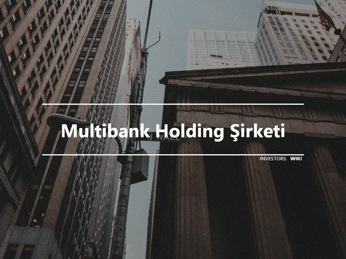 Multibank Holding Şirketi