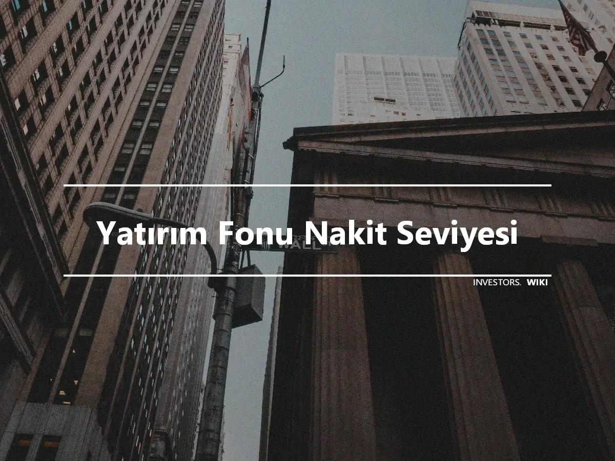 Yatırım Fonu Nakit Seviyesi