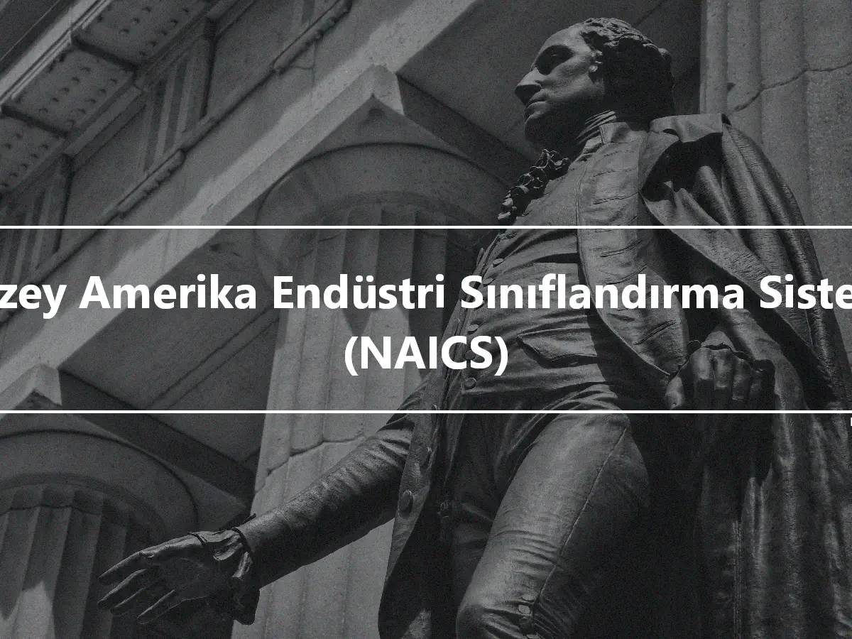 Kuzey Amerika Endüstri Sınıflandırma Sistemi (NAICS)