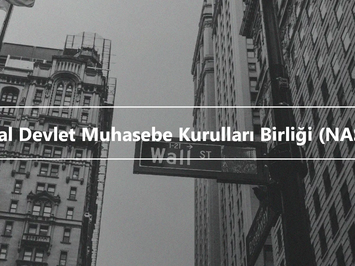 Ulusal Devlet Muhasebe Kurulları Birliği (NASBA)