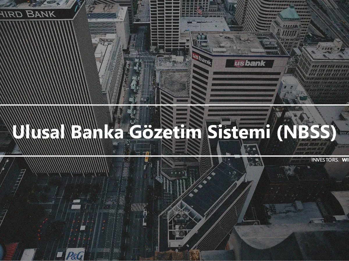 Ulusal Banka Gözetim Sistemi (NBSS)
