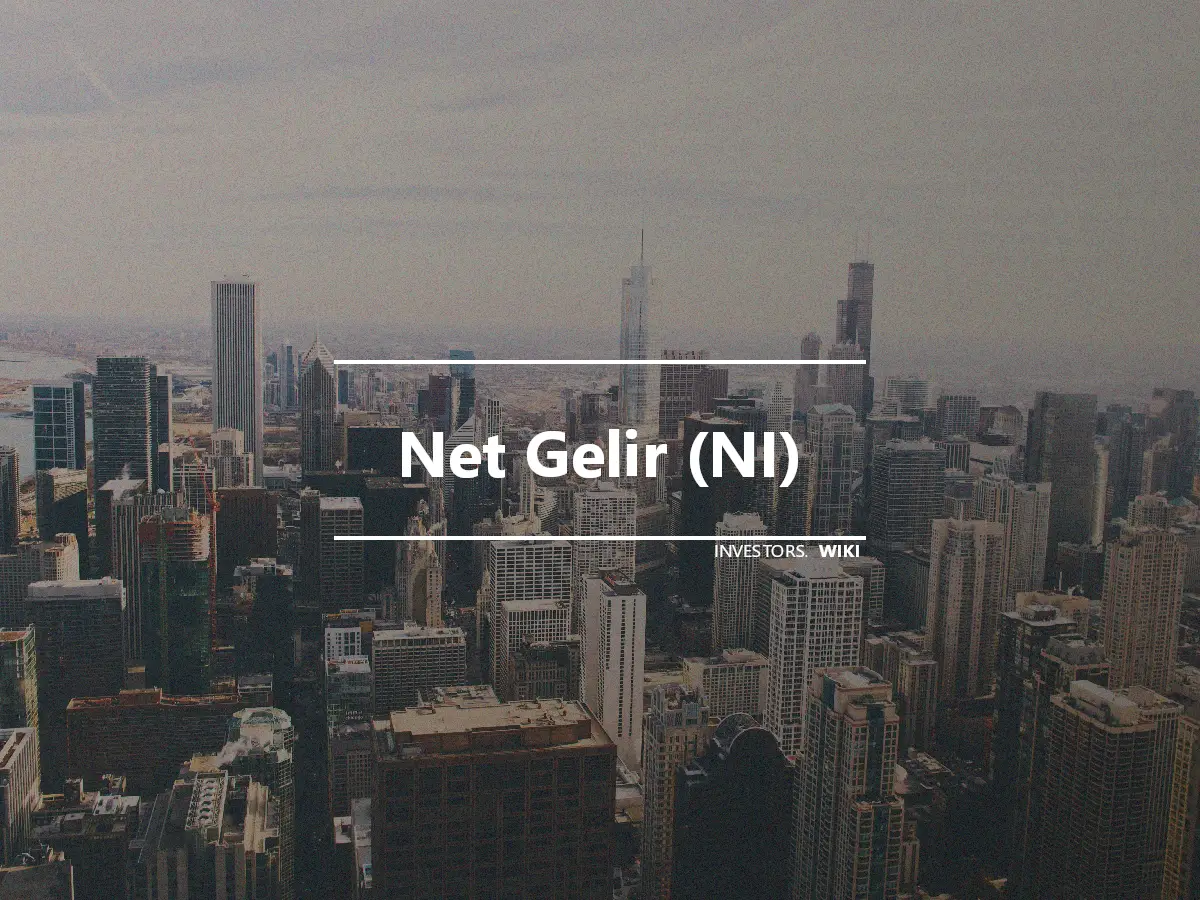 Net Gelir (NI)