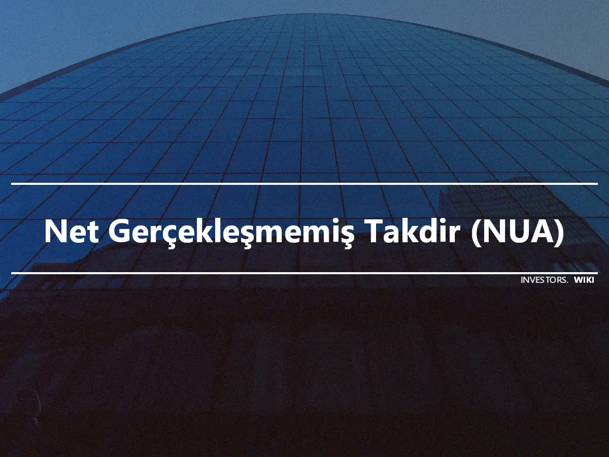 Net Gerçekleşmemiş Takdir (NUA)