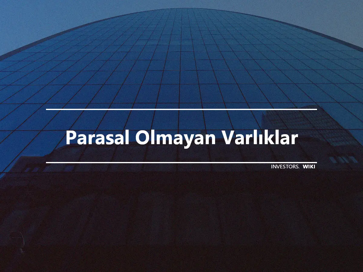 Parasal Olmayan Varlıklar